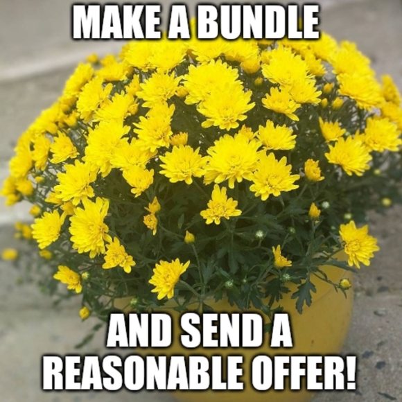 💛🌾BUNDLES🌾💛 - Picture 1 of 1